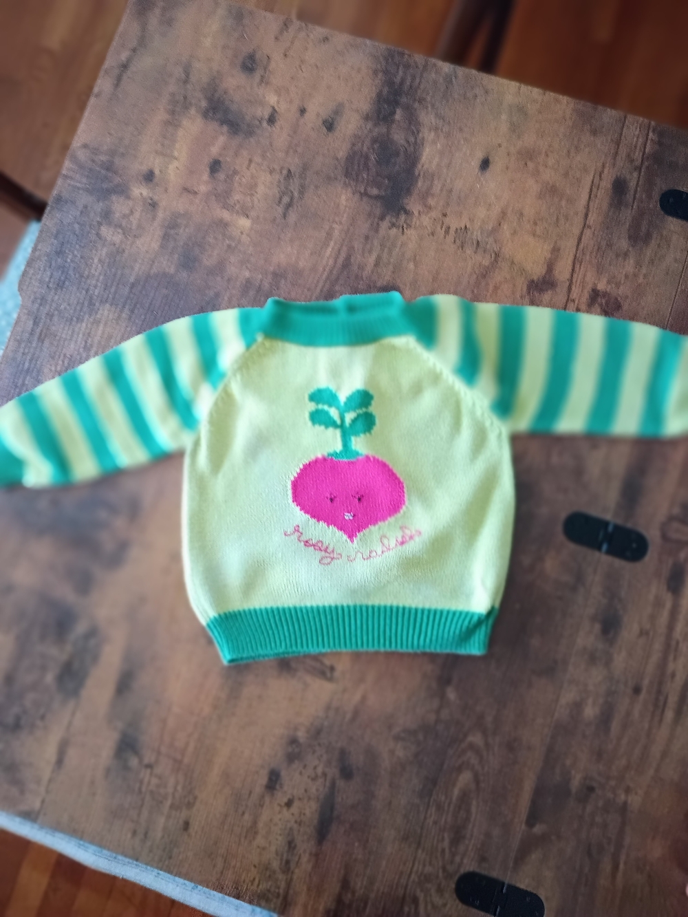 Gymboree Green Crewneck Sweater with Pink Root Veggie Motif